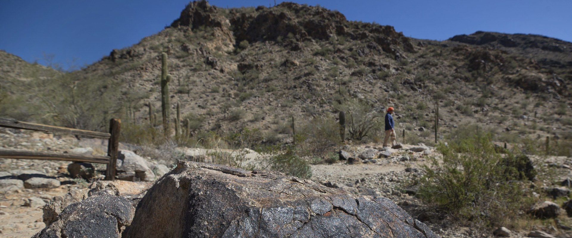 Addressing Social Justice Issues: The Role of Coalitions in San Tan Valley, AZ