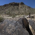 Addressing Social Justice Issues: The Role of Coalitions in San Tan Valley, AZ