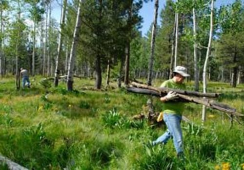 Exploring Volunteer Opportunities with Coalitions in San Tan Valley, AZ